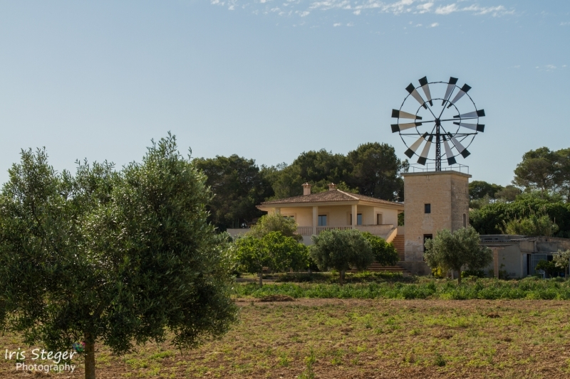 Mühlen auf Mallorca